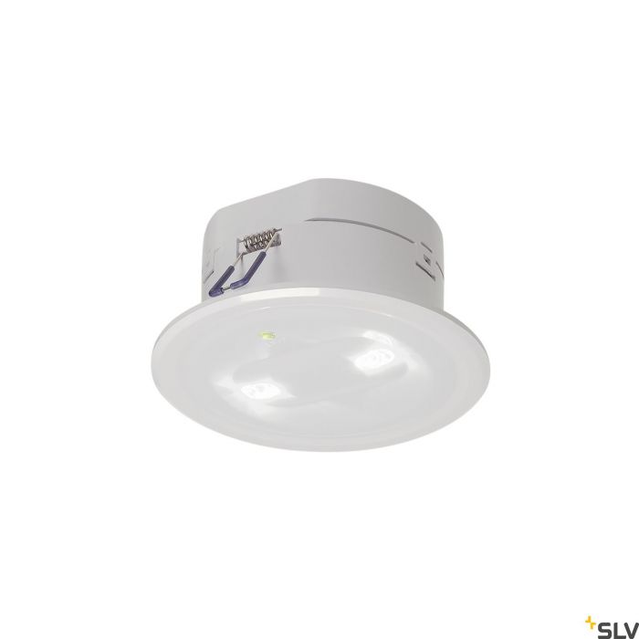 P-LIGHT