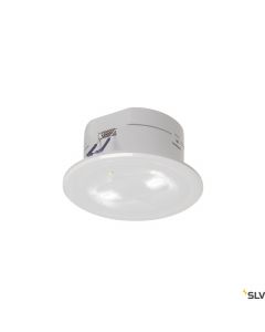 P-LIGHT