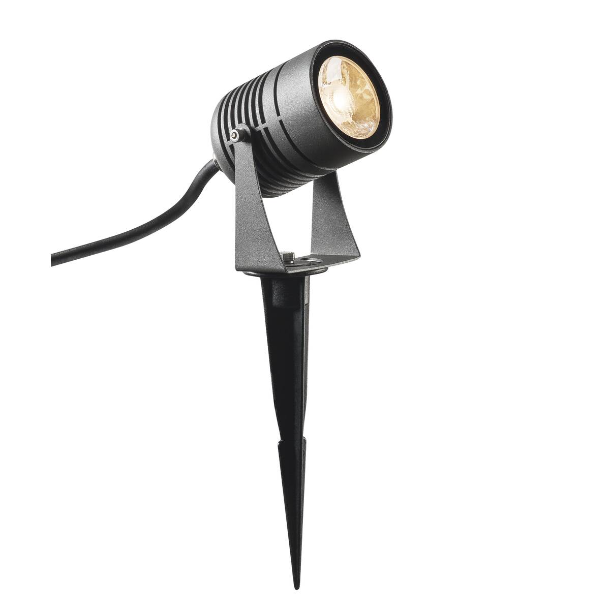 LED SP