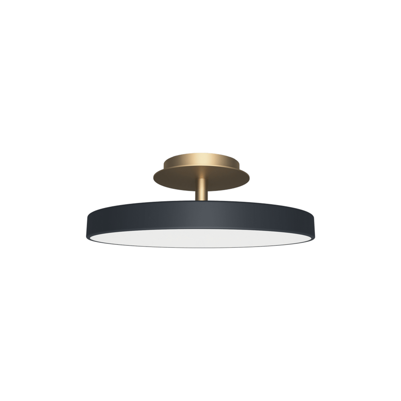Asteria Up Plus