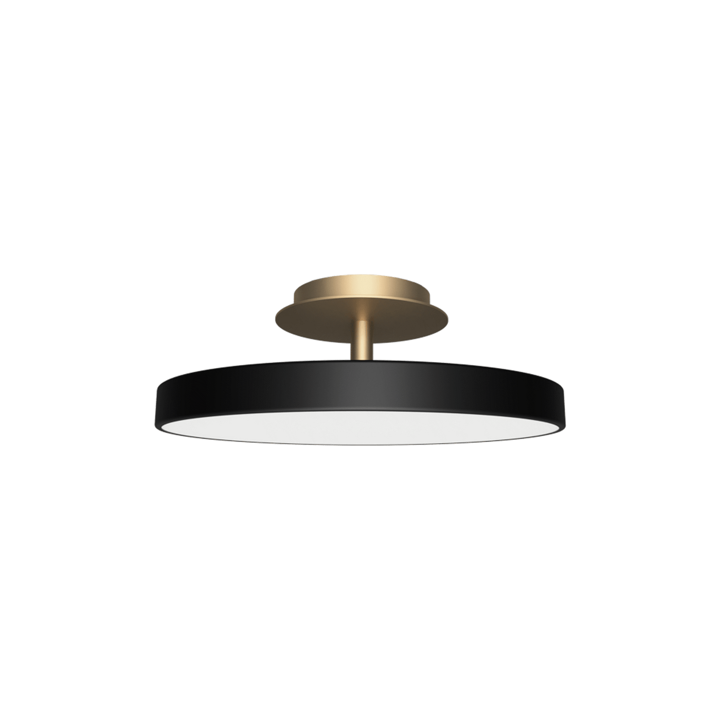 Asteria Up Plus