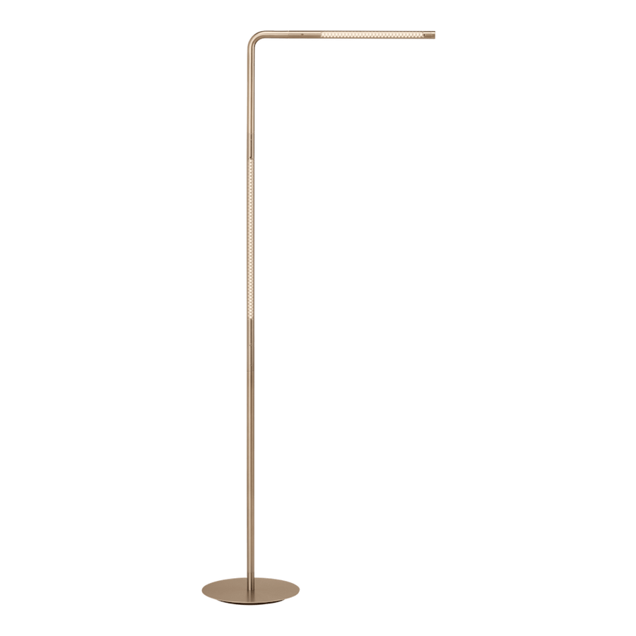 Omni floor lamp
