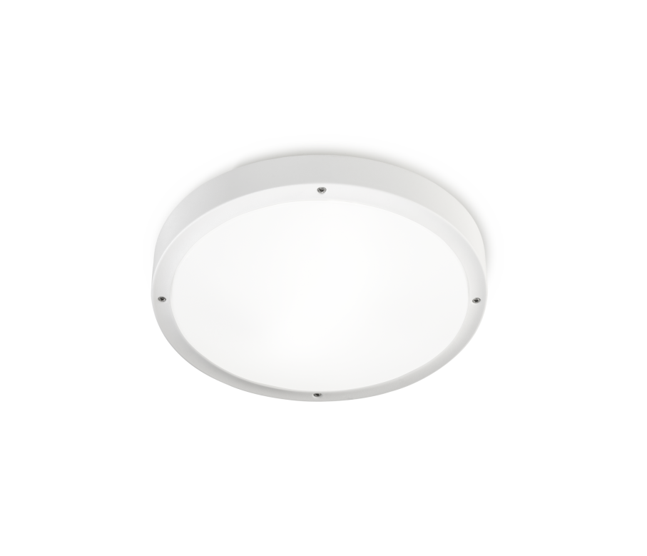 Basic 260mm