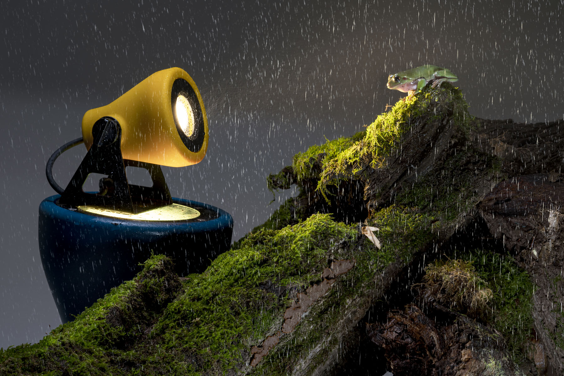 FROG OUTDOOR