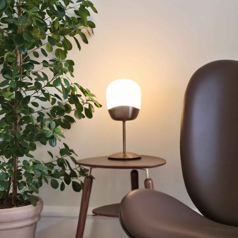 Spring table lamp
