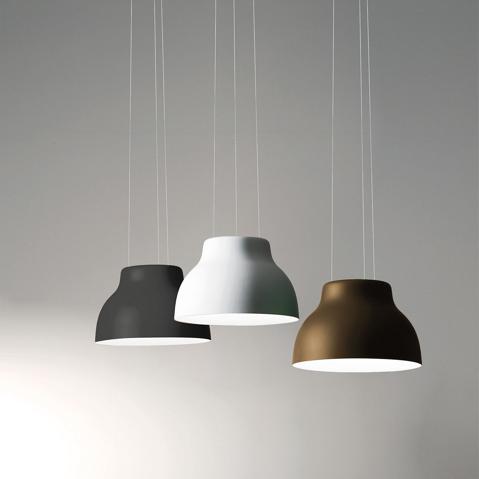 CICALA SUSPENSION