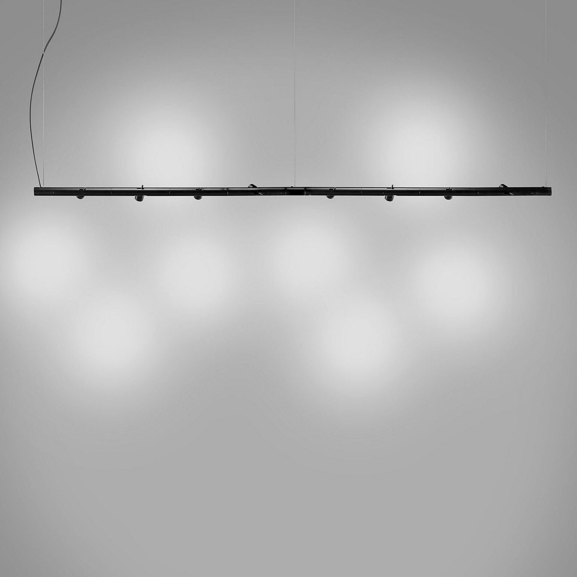 CALABRONE SUSPENSION